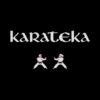 Polera Karateka